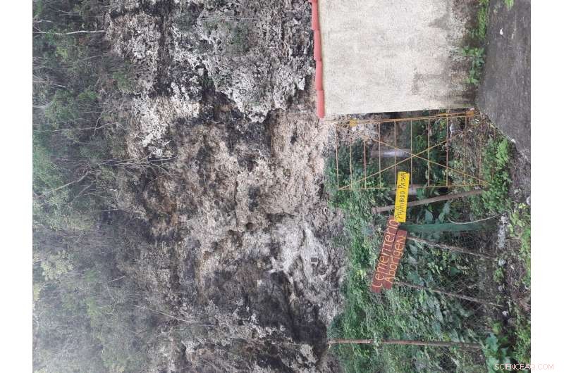 Uncovering Caribbean Origins: Ancient DNA Reveals Three Early Settlement Waves