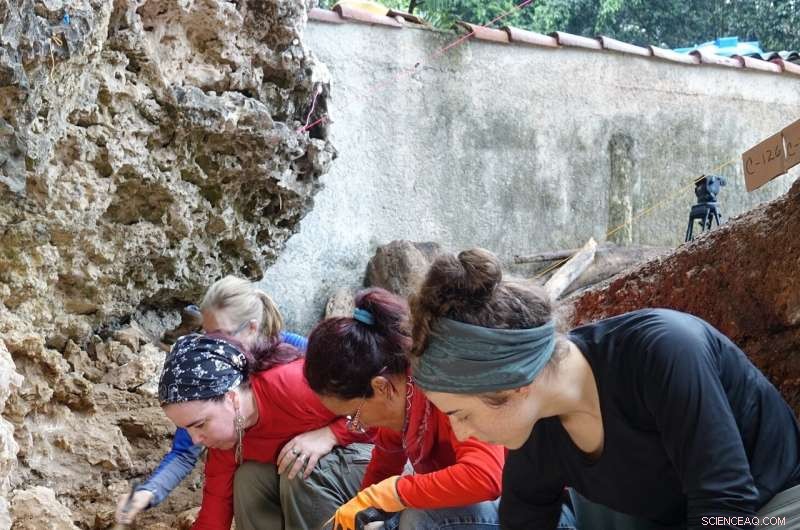 Uncovering Caribbean Origins: Ancient DNA Reveals Three Early Settlement Waves