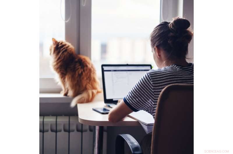 Choosing Neighborhoods for Living, Working, and Playing: Navigating the Modern Urban Landscape