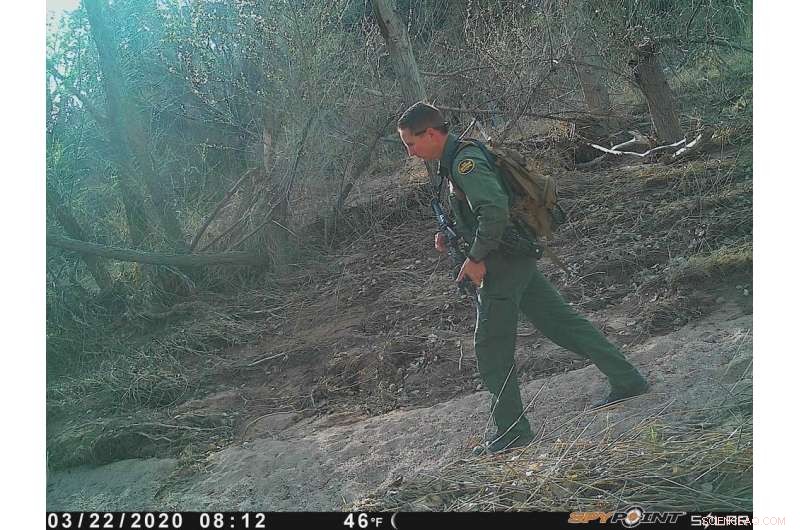 Field Researchers Hampered by US‑Mexico Border Tensions