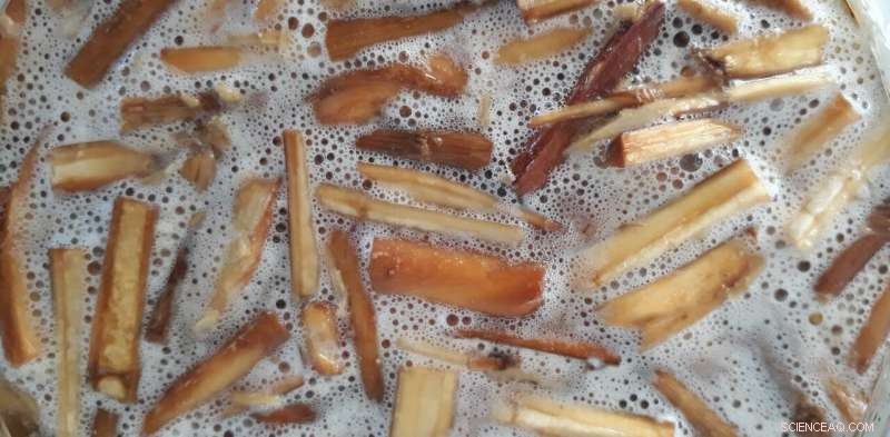 Uncovering the Ancient Origins of Alcohol: Evidence of African Roots