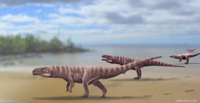 Ancient Crocodiles Walked Bipedally, Surprising Scientists