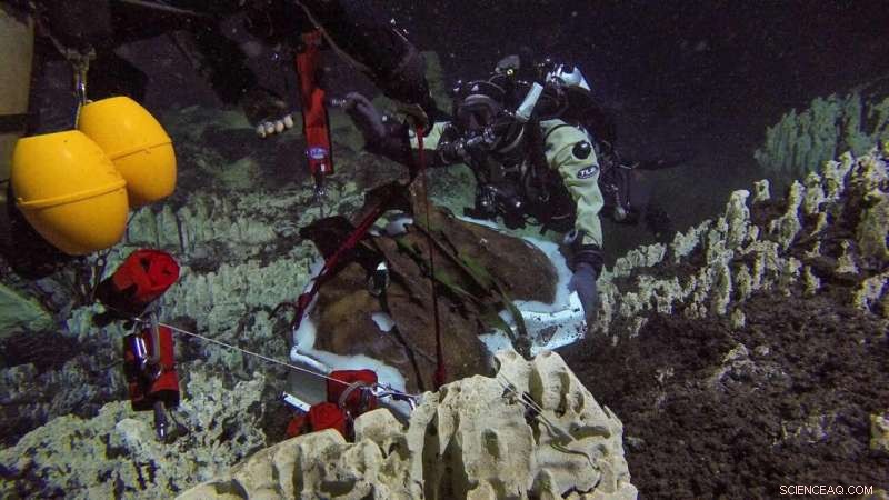 Cave Divers Unearth Ice Age Giant Ground Sloth Remains in Hoyo Negro