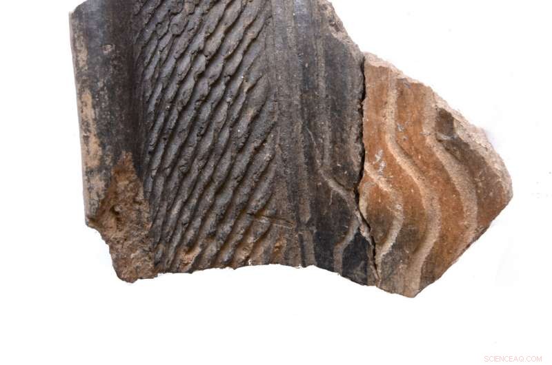 How Gene Flow and Migration Sparked Food Production in Sub‑Saharan Africa