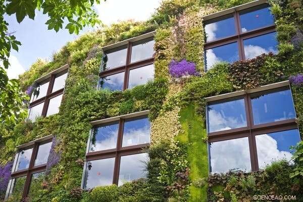 Post‑COVID Urban Futures: How Seasonal Migration and Empty Centers Are Reshaping Cities