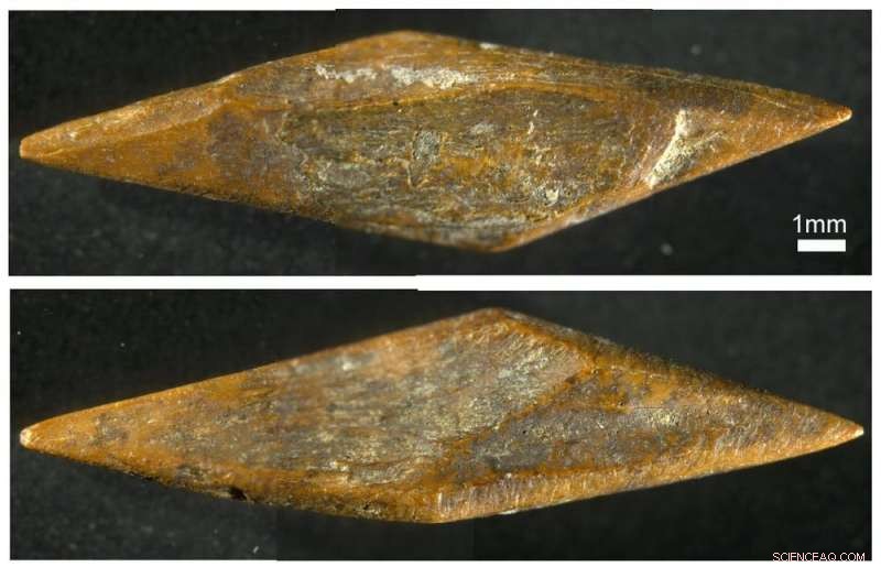 48,000-Year-Old Arrowheads Shed Light on Early Human Innovation in Sri Lanka’s Rainforest