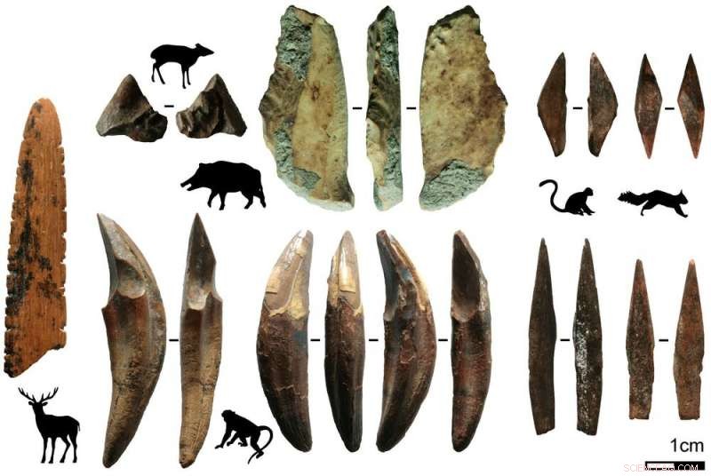 48,000-Year-Old Arrowheads Shed Light on Early Human Innovation in Sri Lanka’s Rainforest