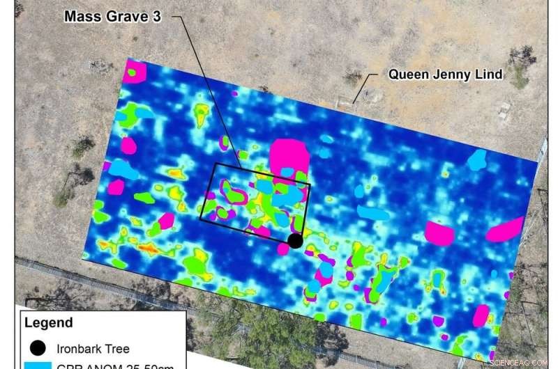 Archaeology Uncovers the History of Epidemics and Human Resilience