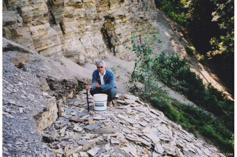 50-Million-Year-Old Fossil Links Canada and Australia, Illuminating Ancient Climate and Continental Drift