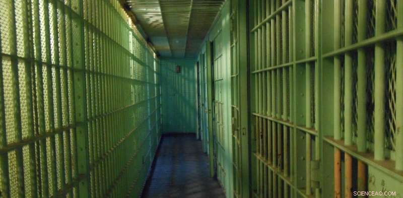 Politics, Not Compassion, Drove Mass Prisoner Releases During COVID‑19