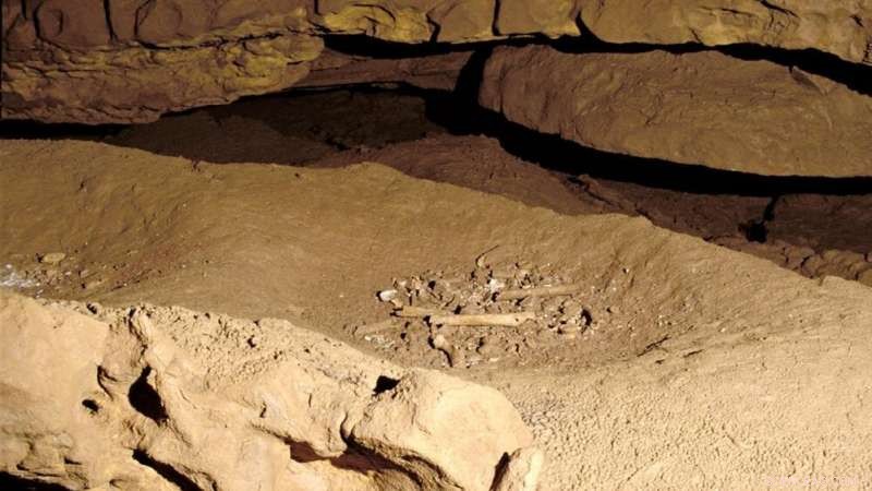Cussac Cave in France Reveals 30,000‑Year‑Old Secrets of Life, Death, and Human History