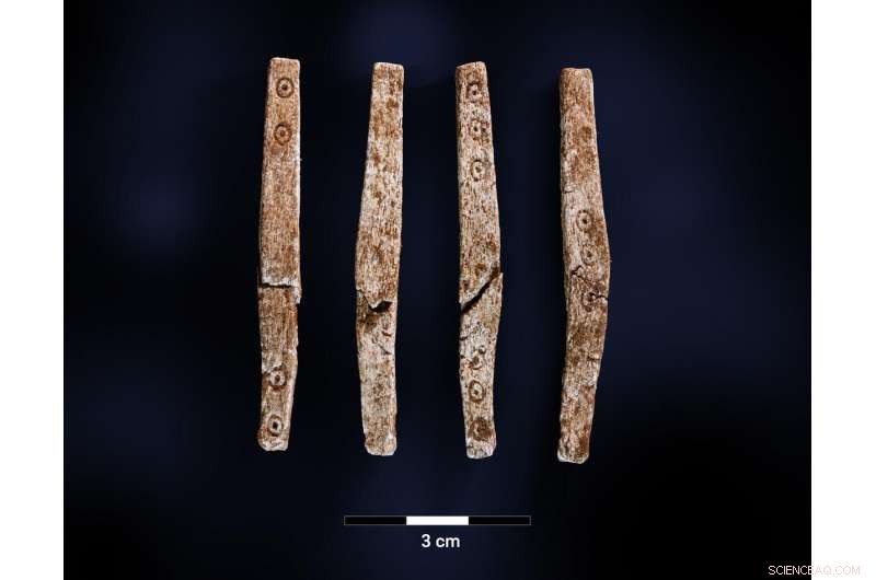 University of Bergen Excavates Early Iron Age Grave Cairn at Ytre Fosse, Uncovering Norway s Maritime Heritage