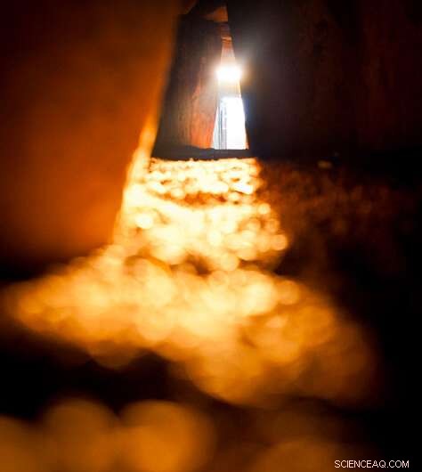 Ancient Irish Genome Reveals First-Degree Incest in Newgrange Passage Tomb