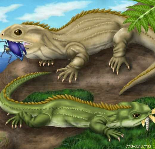 Ancient UK Reptiles Revealed as Insect Predators: 200‑Million‑Year‑Old Jaw Mechanics Decoded