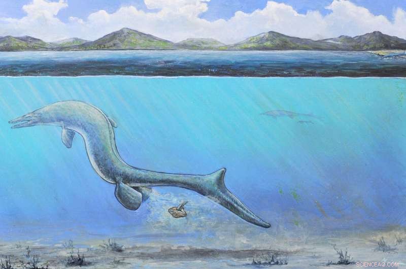 First Giant Mosasaur Egg Found in Antarctica Suggests Extinct Sea Lizard