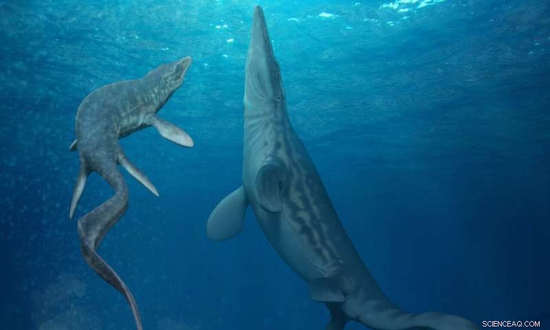 First Giant Mosasaur Egg Found in Antarctica Suggests Extinct Sea Lizard