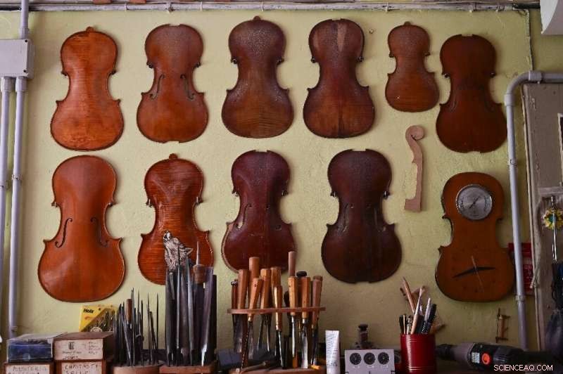 Cremona Luthiers Honor Stradivarius Tradition Amid Modern Market Challenges