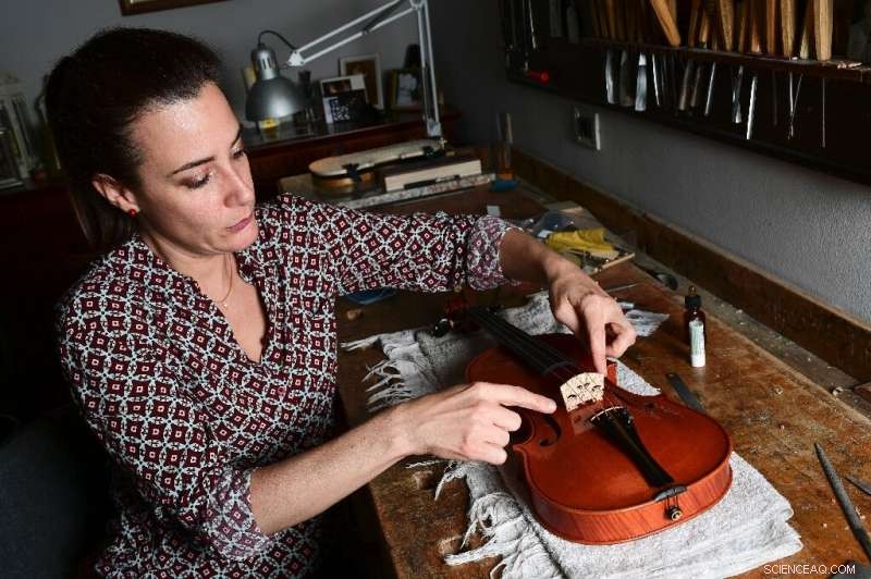 Cremona Luthiers Honor Stradivarius Tradition Amid Modern Market Challenges