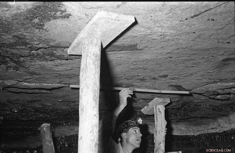 New Fossil Finds Reveal 160-Million-Year-Old Australian Predators Rivaling T. rex