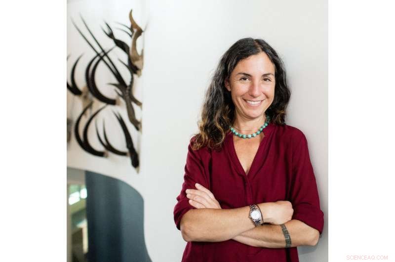 Uncovering Dingo Origins: New Insights into Their History and Impact