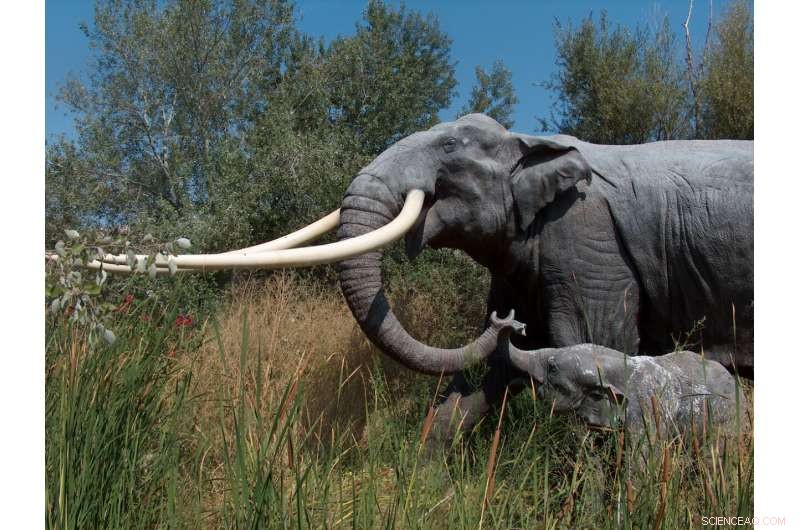 Archaeological Discovery: Ancient Elephant Skeleton Reveals Early Human Diet