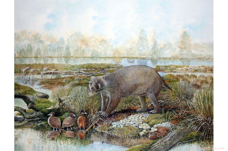 Ancient Wombat Relative Illuminates Burrowing Evolution
