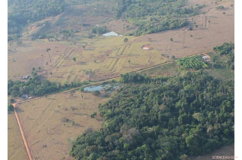 Evidence of a Millennial Pre-Colonial Culture in the Amazon Forest