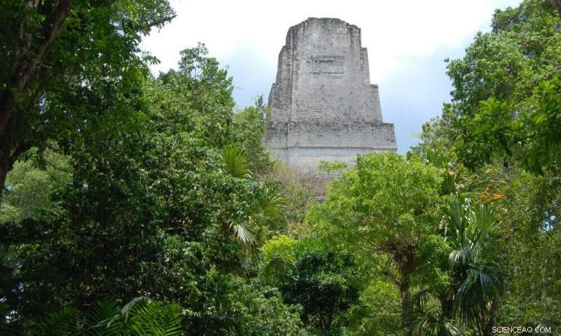 Study Reveals Toxic Mercury and Algae Contamination in Tikal s Ancient Maya Reservoirs