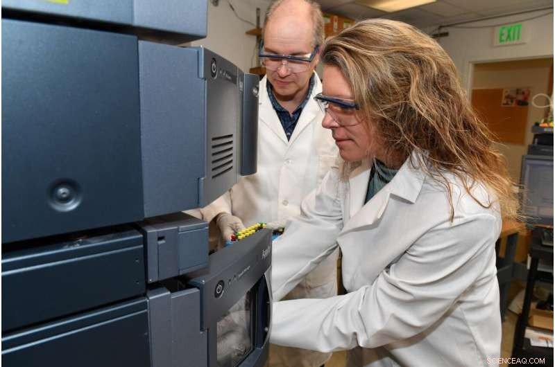 Ancient Pipe Reveals First Use of Non‑Tobacco Plant