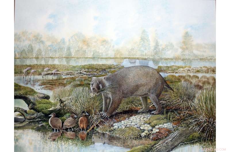 Scientists Identify New Extinct Family of Giant Wombat‑Like Marsupials from Central Australia