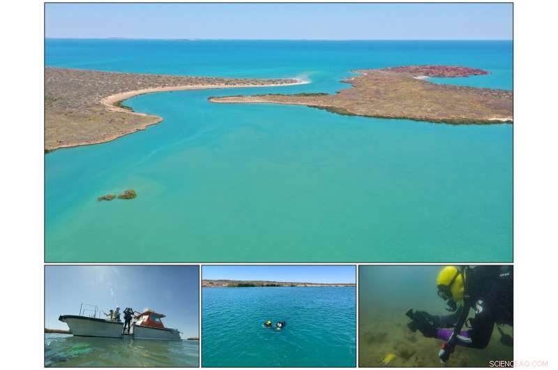 Australia s First Ancient Underwater Aboriginal Sites: A Groundbreaking Archaeological Discovery