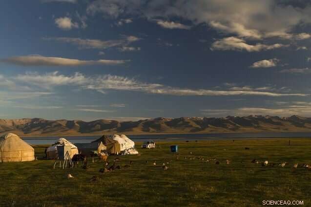 Pasture Access Conflicts in Kyrgyzstan Highlight Herders  Challenges