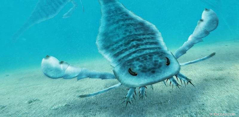 Australia s Giant Sea Scorpions: Underwater Titans of the Paleozoic Era