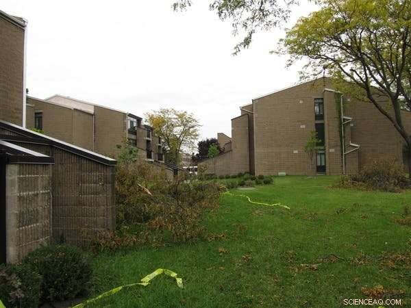 Preserving Architectural Heritage: The Case for Low‑Income Housing