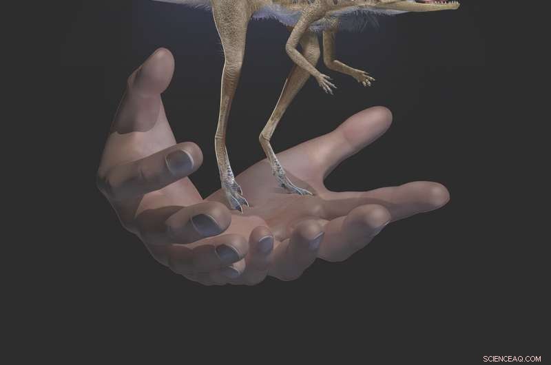 Tiny Triassic Reptile Revealed as Early Relatives of Dinosaurs and Pterosaurs