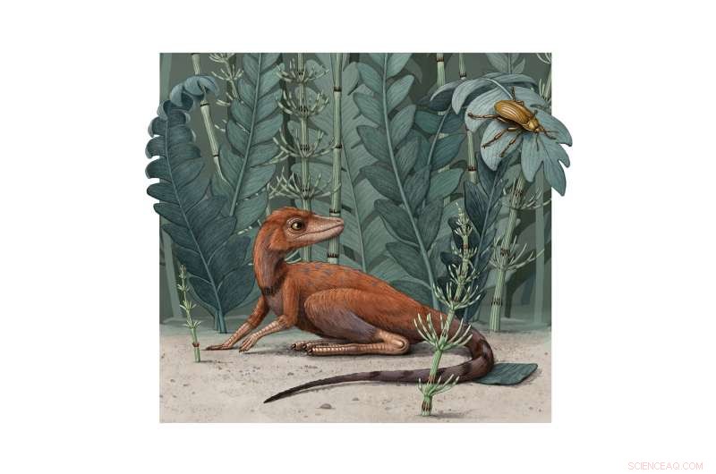 Tiny Triassic Reptile Revealed as Early Relatives of Dinosaurs and Pterosaurs