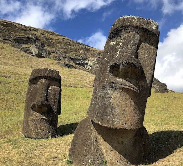 New Genetic Study Reveals Pre‑European Contact Between Polynesians and Native Americans