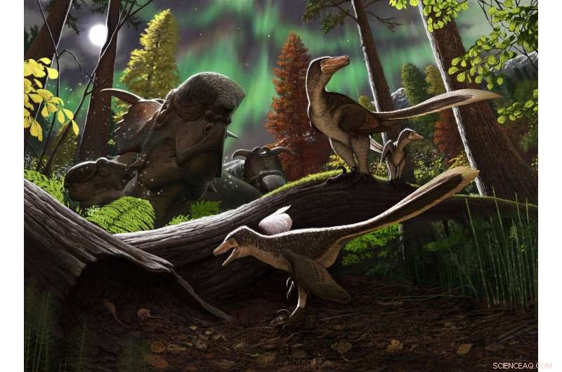 Alaskan Fossil Jawbone Reveals Rare Juvenile Arctic Dromaeosaurid Dinosaur