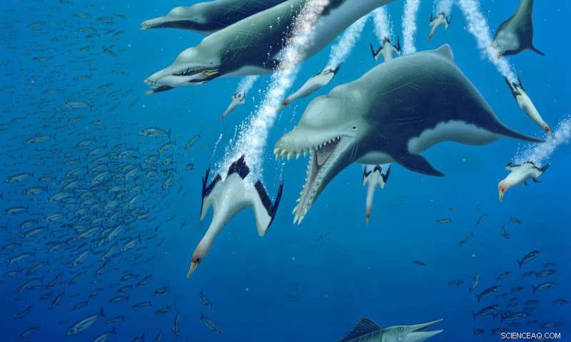 New 15‑ft Skeleton of Extinct Dolphin Unveils Parallel Evolution in Whales