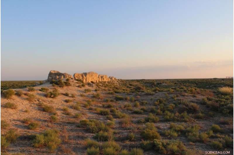 Cats on the Silk Road: Evidence of Pet Ownership Over 1,000 Years Ago