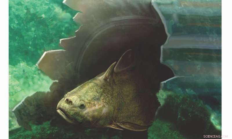 New Technology Illuminates 400‑Million‑Year Tooth Evolution