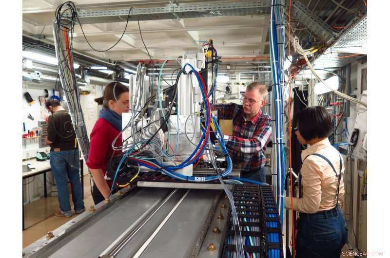 New Technology Illuminates 400‑Million‑Year Tooth Evolution