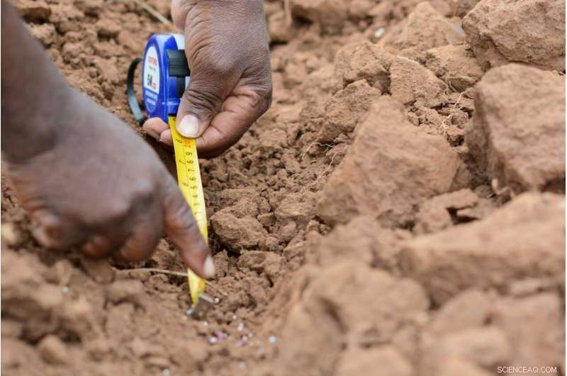 Economists Call for Narrative Shift to Resolve Policy Gridlock and Accelerate Africa s Agricultural Growth