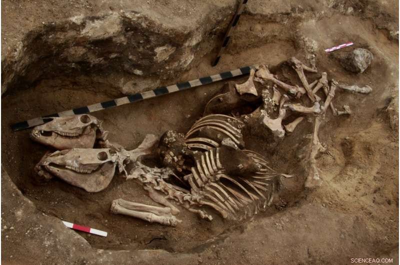 Bronze Age: The Earliest Evidence of Horse Riding Revealed