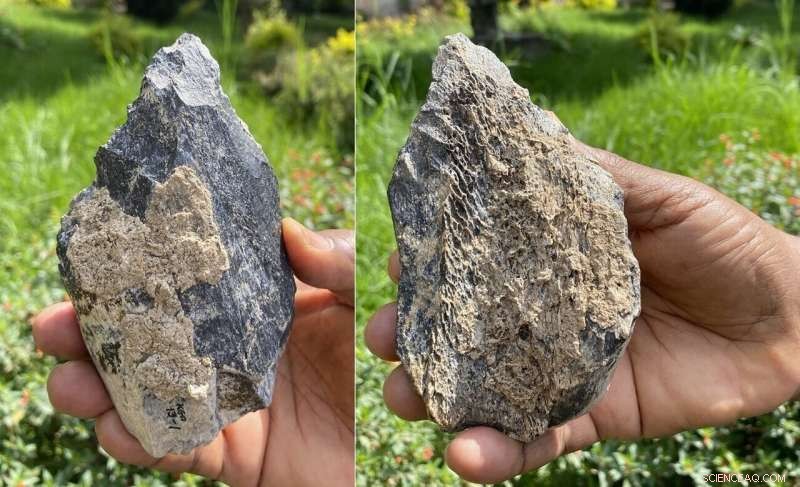 Homo erectus Hand Axe Discovered in Ethiopia: A Breakthrough in Human Evolution