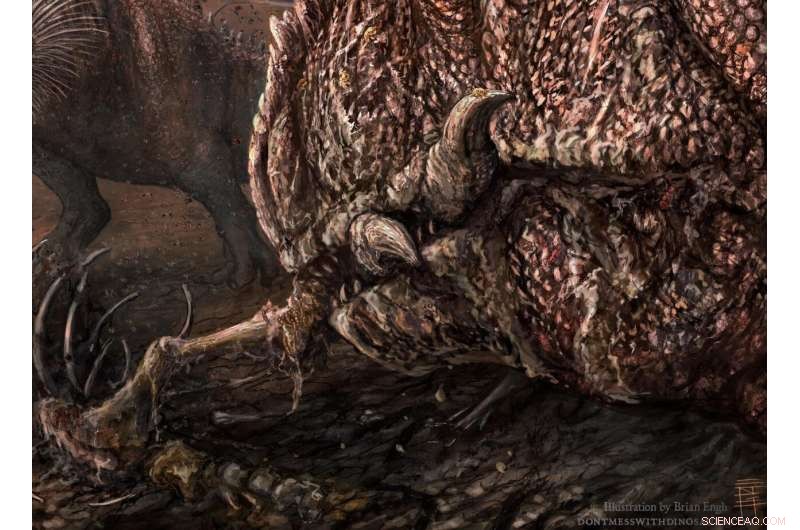 New Research at Mygatt-Moore Quarry Uncovers Prehistoric Climate Insights