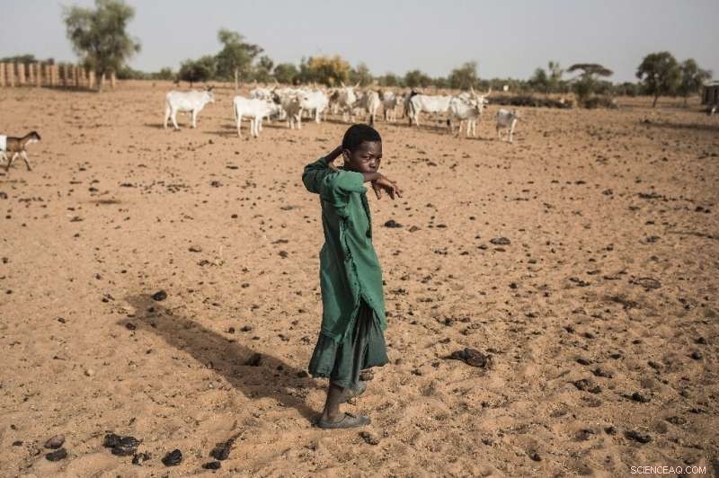 2100 Global Population May Fall 2 Billion Short of UN Forecasts