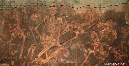 New Chemical Analyses Reveal Shared Heritage of Medieval Danes and Italians