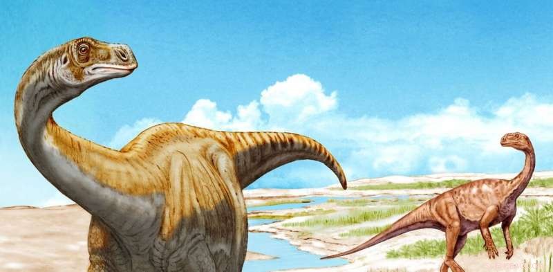 Swiss Discovery of Schleitheimia Reveals Missing Piece in Sauropod Evolution
