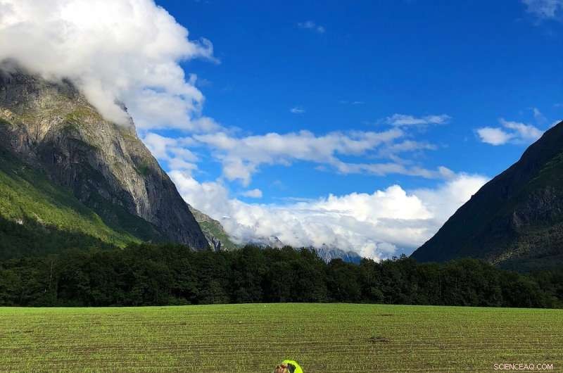 Uncovering 1,154 Archaeological Finds: A Metal Detector Adventure & Historical Riddle